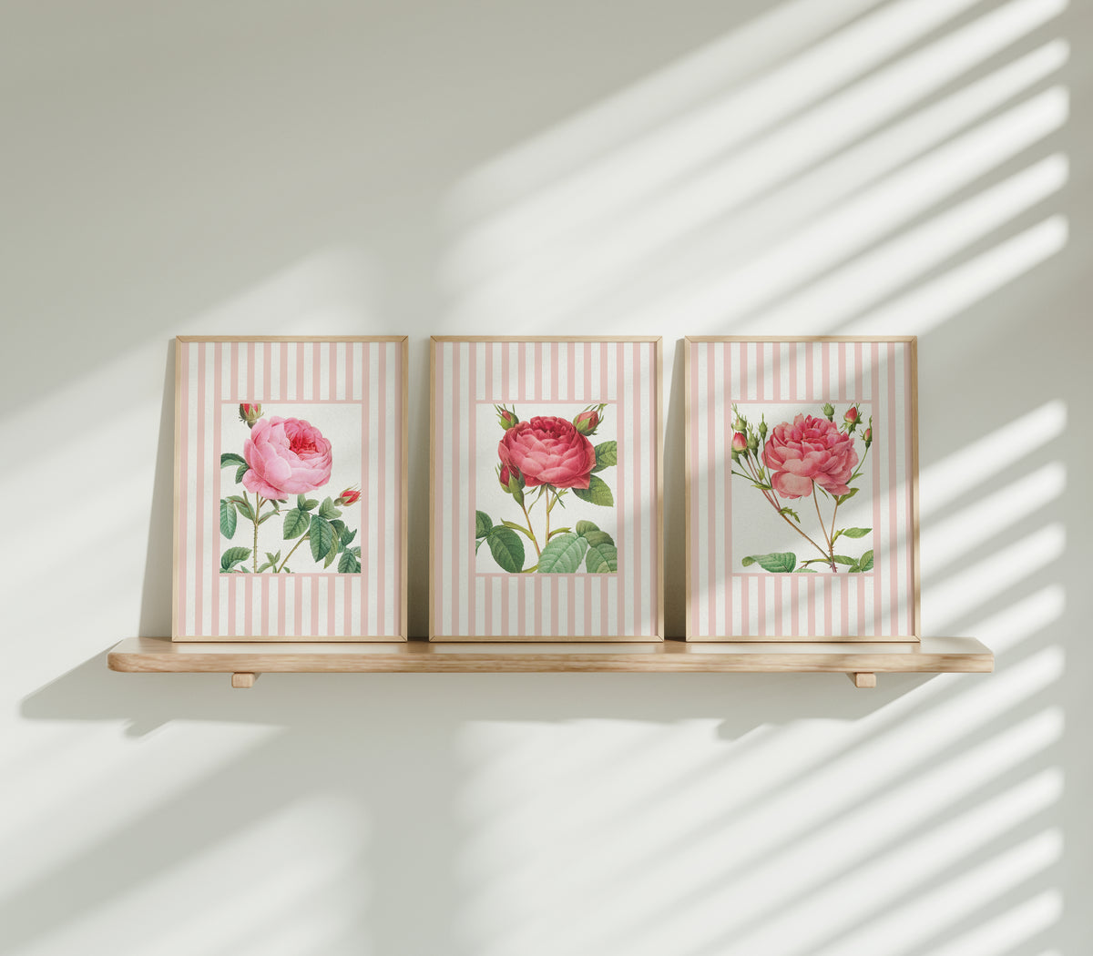 Vintage Rose 3 | Vintage Flower Art Print | Pink Stripe - Unframed