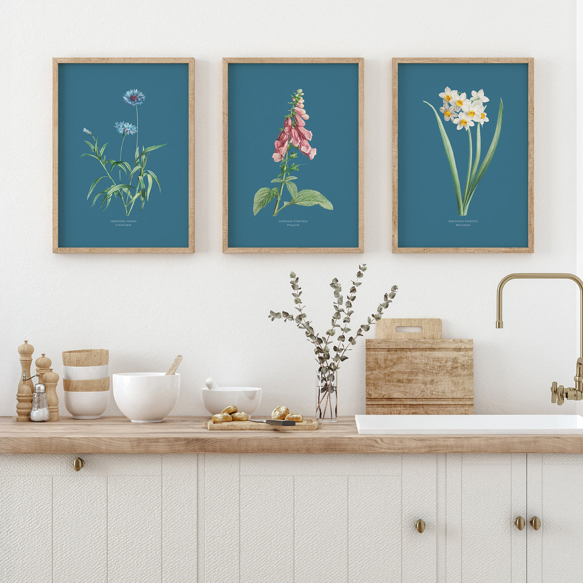 Three framed botanical prints above a kitchen counter with decorative items.