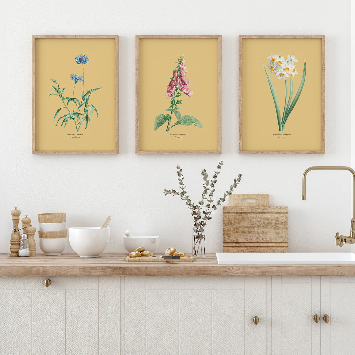Three framed botanical prints above a kitchen counter with decorative items.