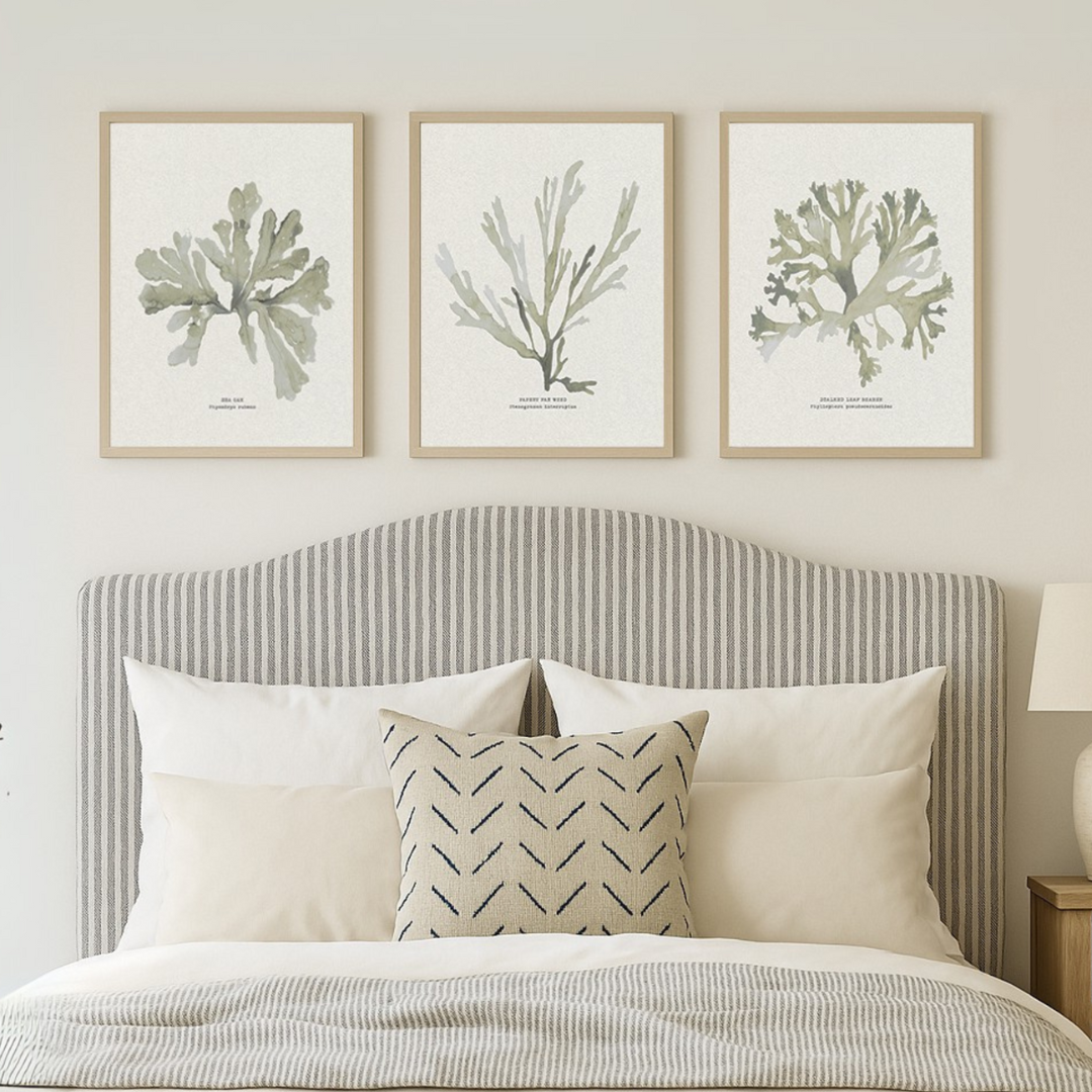 Set of Three Green Seaweed Prints - Unframed