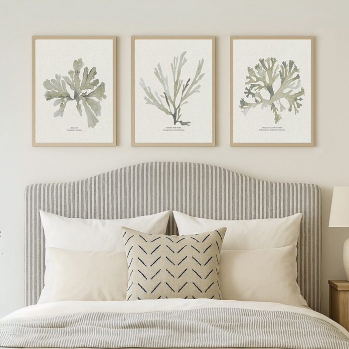 Set of Three Green Seaweed Prints - Unframed