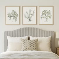 Set of Three Green Seaweed Prints - Unframed