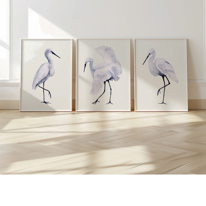 Three framed artworks of birds on a wall with sunlight casting shadows on the floor.