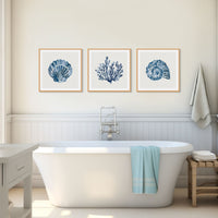 set of three coral and shell art prints in bathroom- three indigo coastal art print on wall above roll top bath