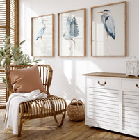 set of three heron art prints in living room - vintage heron wall art framed in natural wood frames in coastal living area