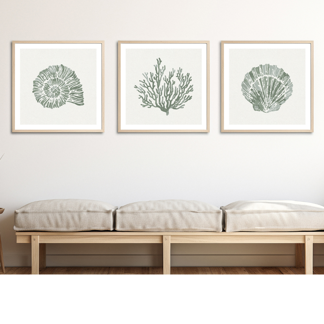 Set of Three Sage Green Coral and Shell Art Prints  - Framed