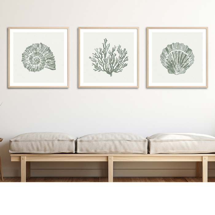 Set of Three Sage Green Coral and Shell Art Prints  - Framed