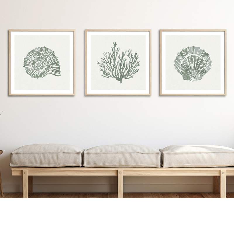 Set of Three Sage Green Coral and Shell Art Prints  - Framed