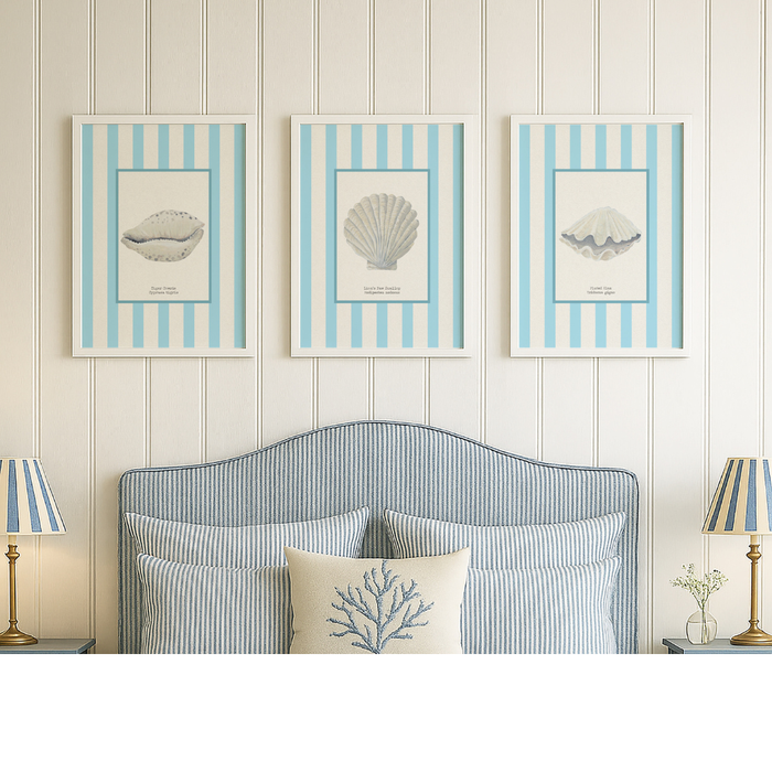 Set of Three Shell prints on aqua stripe - Unframed