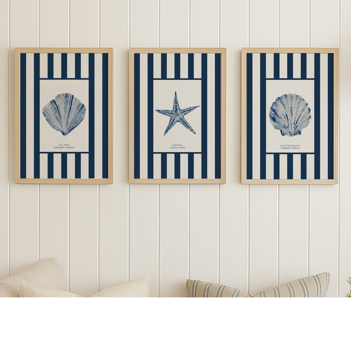 Set of Three watercolour Shell prints on navy stripe - Unframed