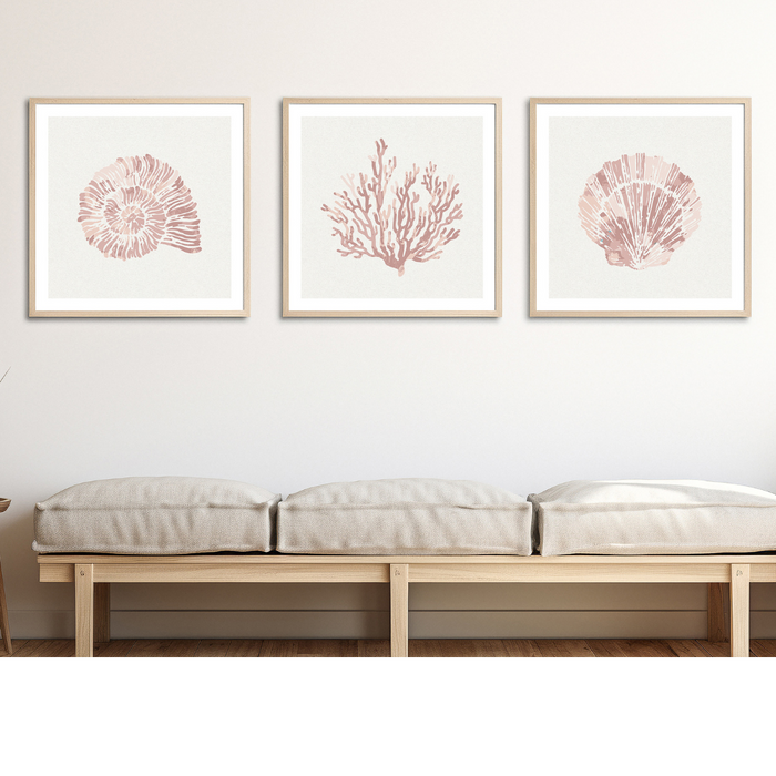 Set of Three Pink Coral and Shell Art Prints  - Framed