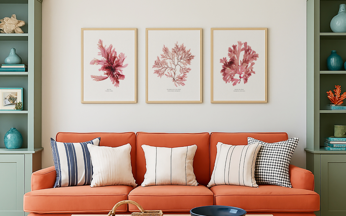 Set of three framed seaweed art prints styled above an Orange sofa with decorative pillows in a living room setting.