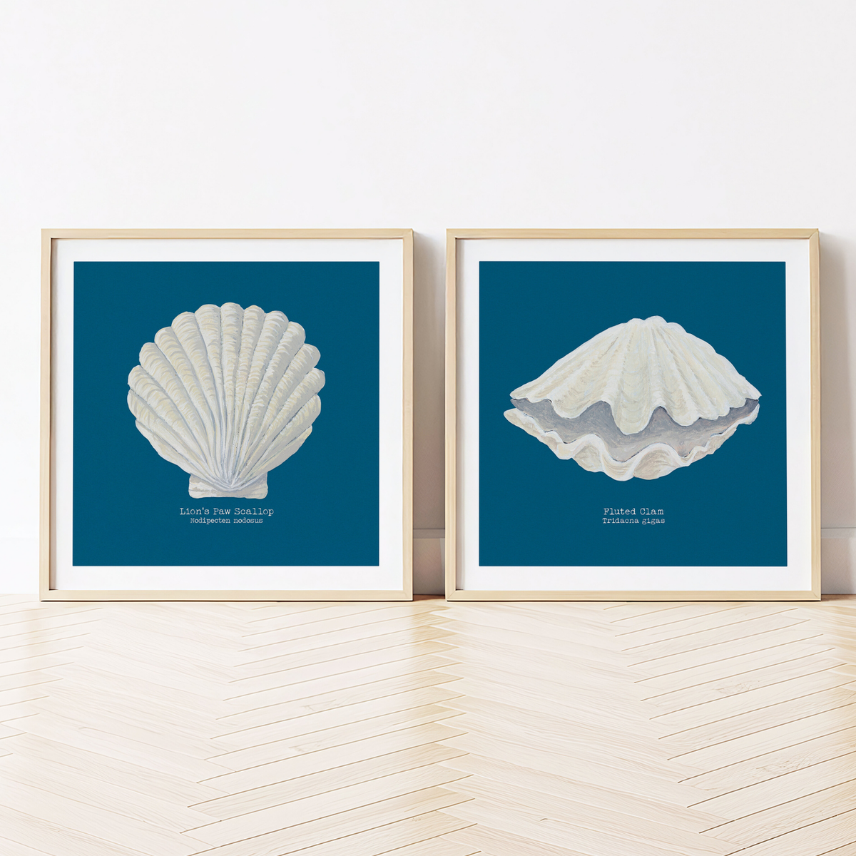 Hand-painted Clam Shell Art Print | Marine Blue Background - Framed
