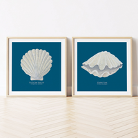 Hand-painted Clam Shell Art Print | Marine Blue Background - Framed