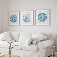 A set of three shell art prints in coastal living room