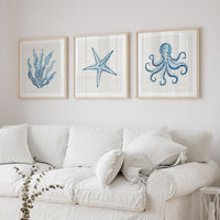 Three framed artworks of marine life on a wall above a white sofa.