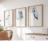 Set of Three Heron Prints - Unframed Set Beach House Art - Vintage bird paintings