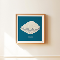 Set of Two Shell Paintings on Blue - Unframed