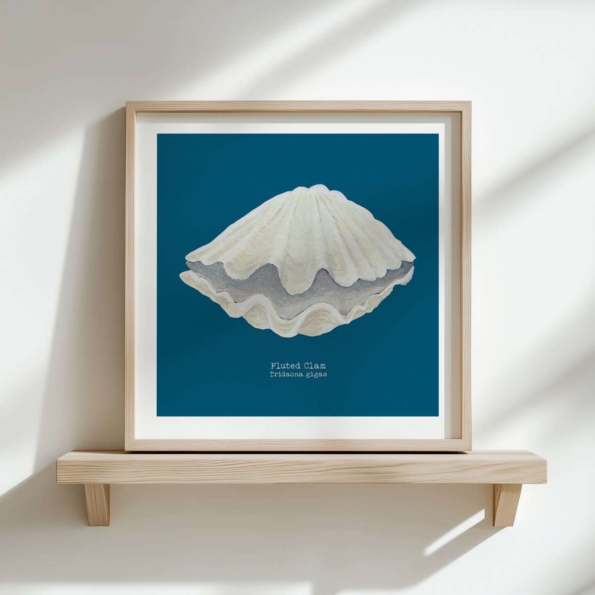 Shell painting - Framed artwork of a shell on a blue background, displayed on a wooden shelf.