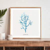 Coral Art Wall Art | Vermillion Coral Painting - Framed - Beach House Art