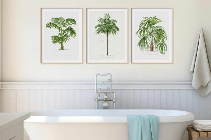 vintage bathroom art print example - set of three vintage palm art prints above a freestanding bath in a half height panelled bathroom