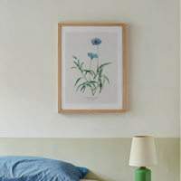 vintage cornflower painting framed on wall in bedroom - botanical wall art in bedroom - vintage flower art print