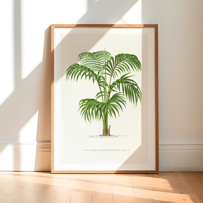 Palm tree print in soft green tones, vintage botanical illustration framed as wall art