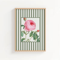 Framed artwork with a pink rose on a green and white striped background