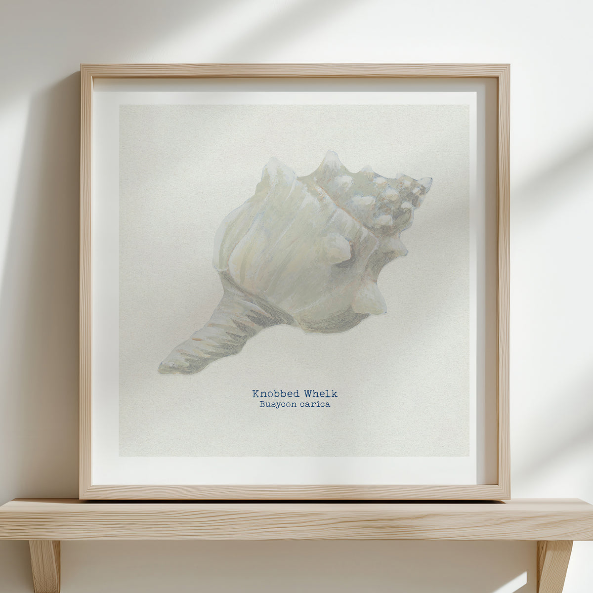 Hand-painted Whelk Shell Art Print | Natural Background - Unframed