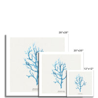 Coral Wall Art | Vermillion Coral Painting - Unframed - Beach House Art
