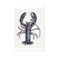 Lobster Painting | Fine Lobster Print