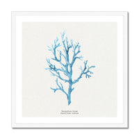 Coral Art Wall Art | Vermillion Coral Painting - Framed - Beach House Art