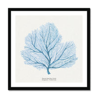 Coral Art | Fan Coral - Framed - Beach House Art