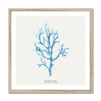 Coral Art Wall Art | Vermillion Coral Painting - Framed - Beach House Art
