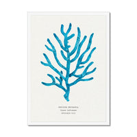 coral art print - original coral painting from beach house art. blue coral wall art