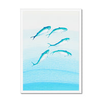 Mackerel Shoal 2 | Fish Wall Art Print - Framed