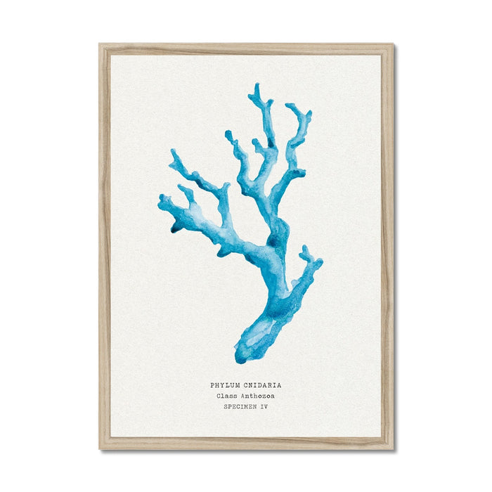coral art print - original coral painting from beach house art. blue coral wall art