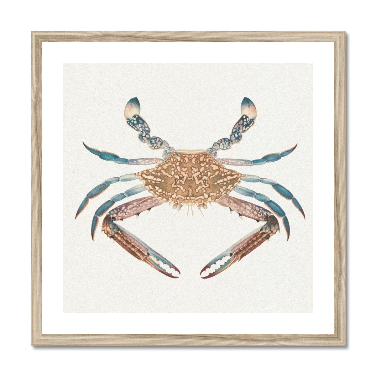 Vintage Crab Painting | Shellfish Wall Art Print - Framed