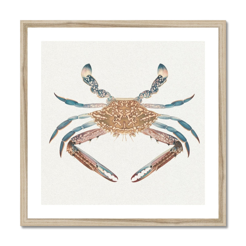 Vintage Crab Painting | Shellfish Wall Art Print - Framed