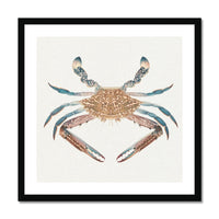 Vintage Crab Painting | Shellfish Wall Art Print - Framed