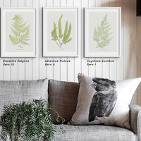 Adiantum Fulvum | Fern Print | Botanical Art Print - Framed Wall Art