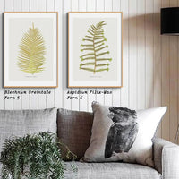 Aspidium Filix-mas | Fern Print Wall Art Print | Botanical Art - Framed