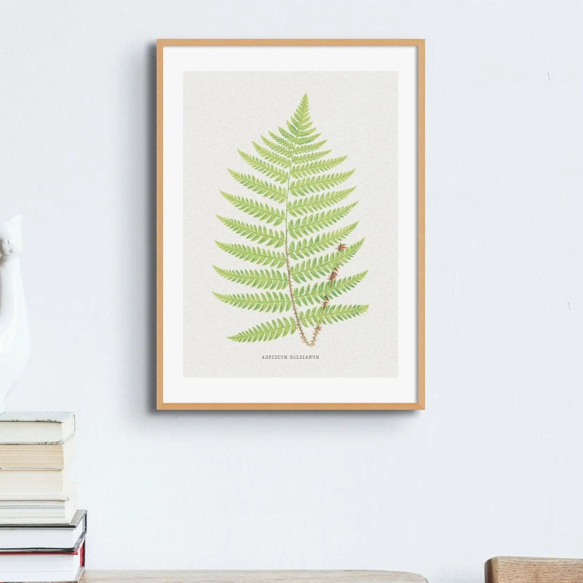 Aspidium Goldianum | Fern Print | Botanical Wall Art - Framed