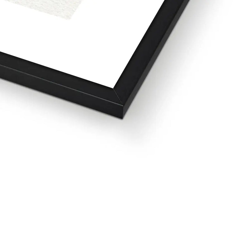 Aspidium Molle | Fern Print | Botanical Art - Framed Wall Art