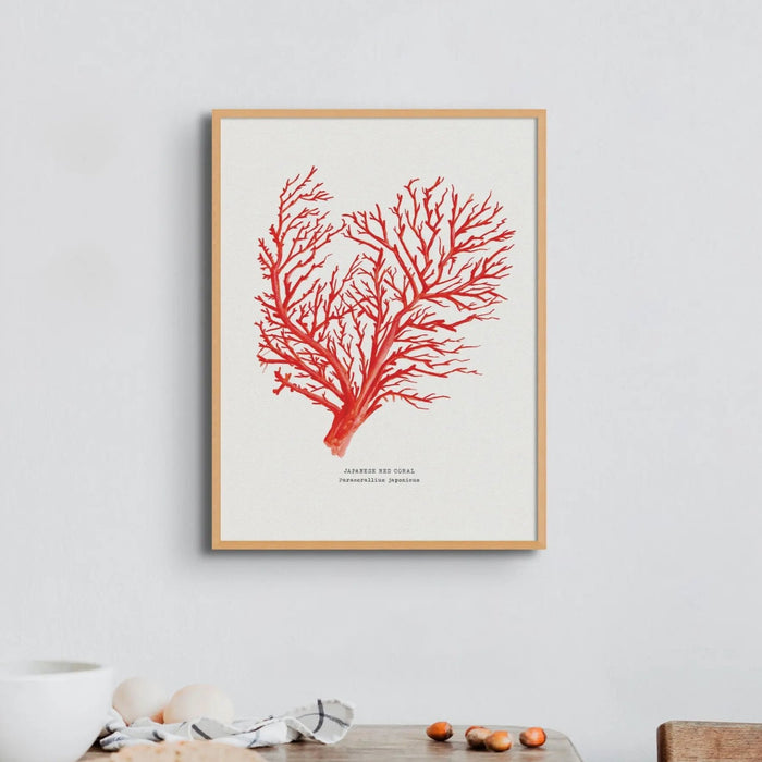 Coral Wall Art Print (Red Coral No 1) - Framed - Coral Painting by Beach House Art