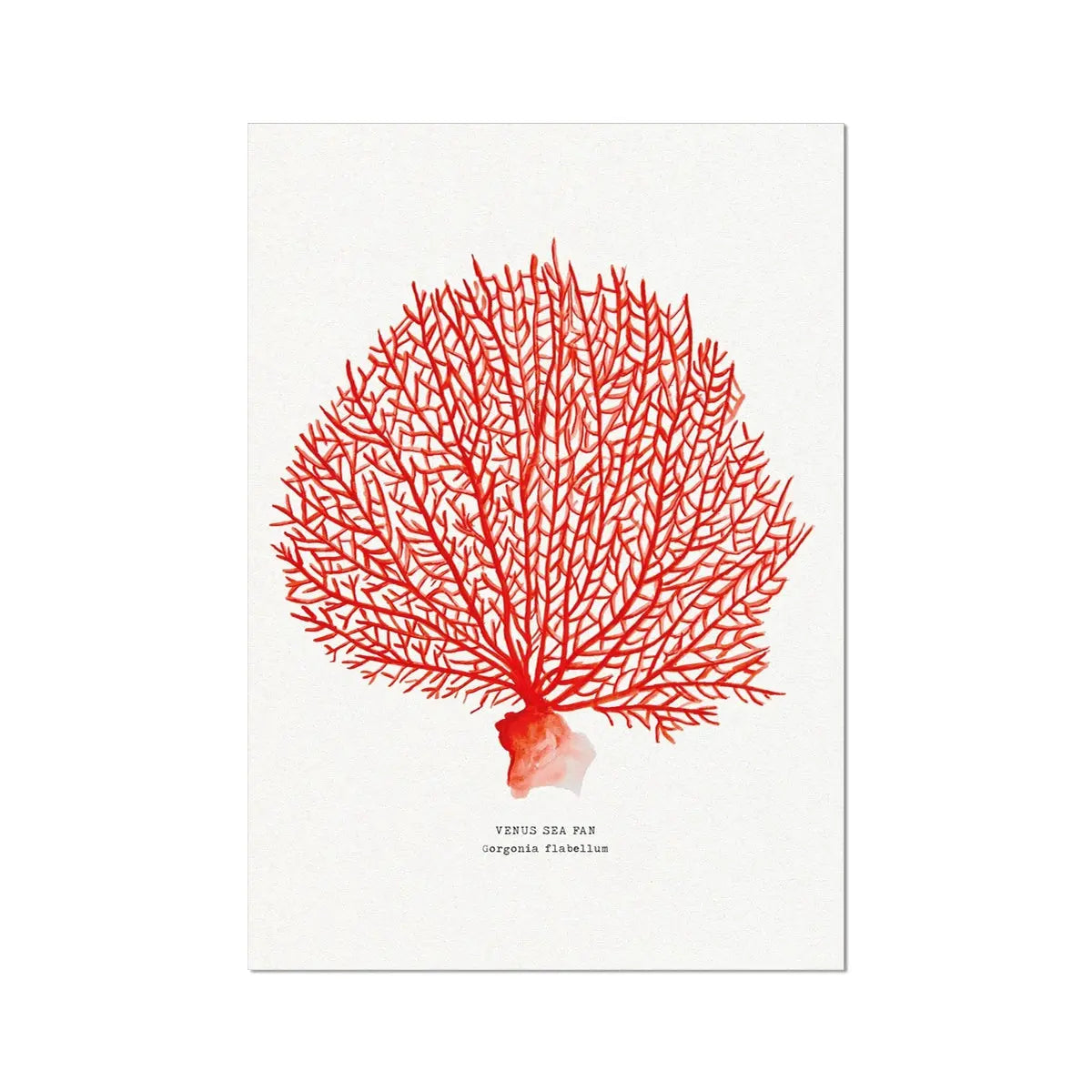 Watercolour coral painting in a deep coral colour on paper