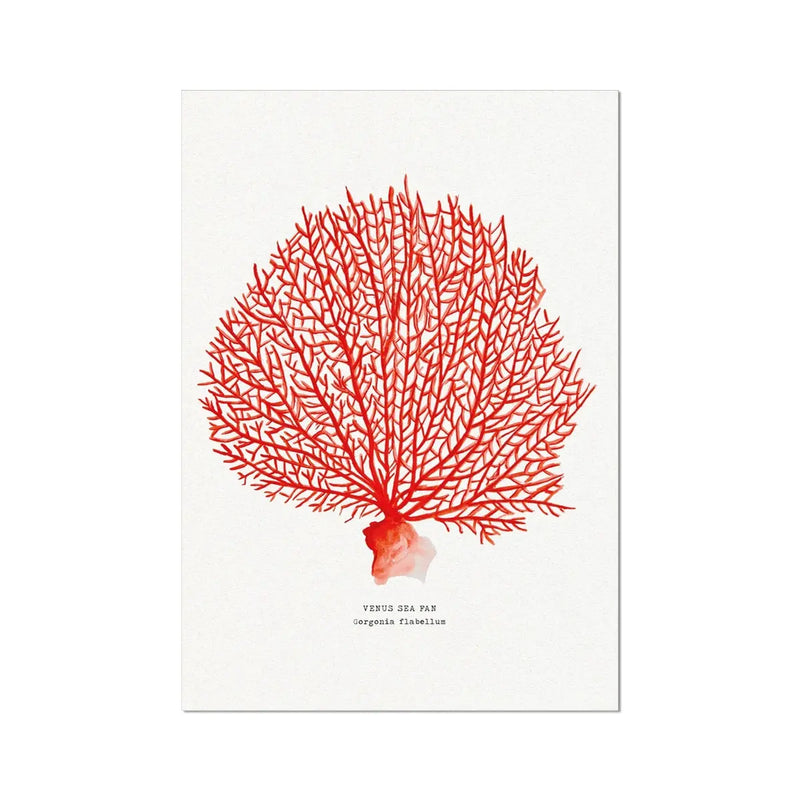 Watercolour coral painting in a deep coral colour on paper