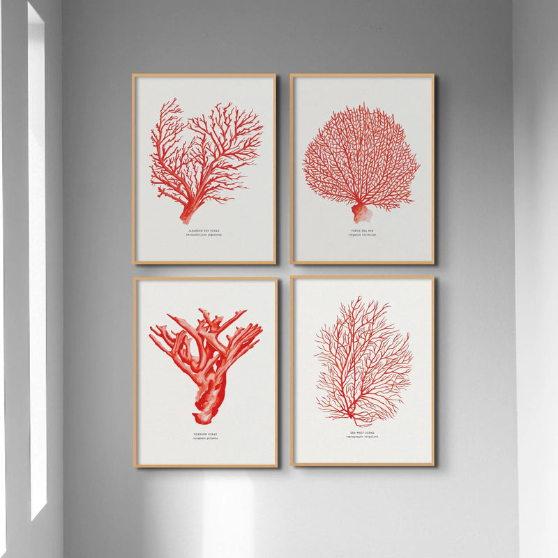 Coral Print (Red Coral No 2) - Unframed