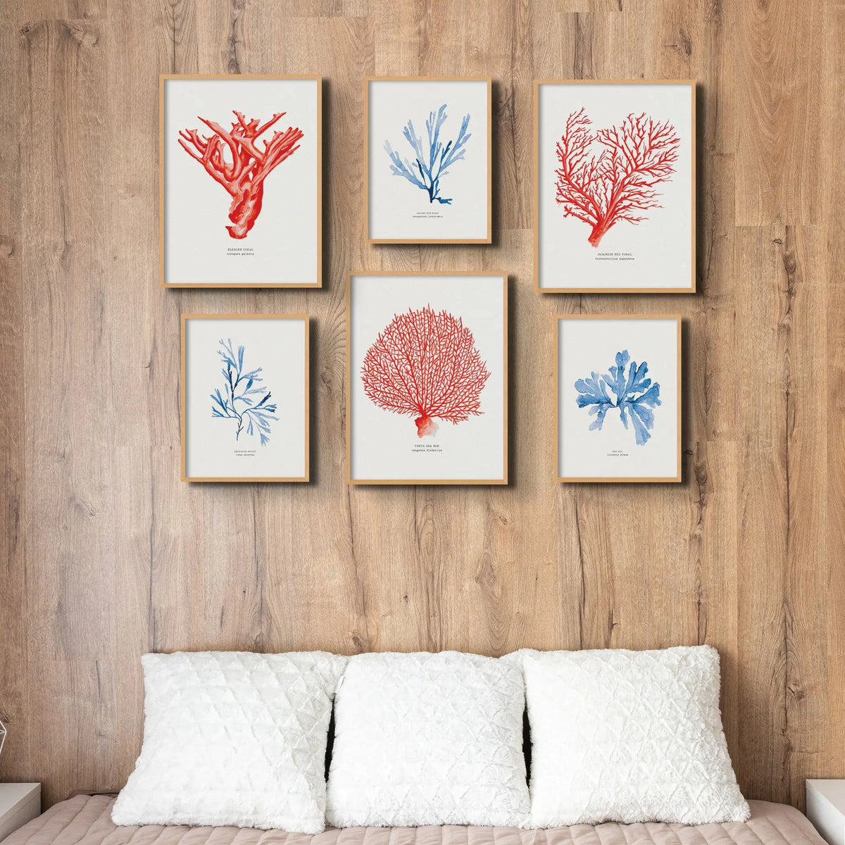 Coral Print (Red Coral No 2) - Unframed