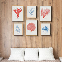 Coral Print (Red Coral No 2) - Unframed